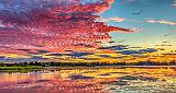 Rideau Canal Sunrise_P1170285-7